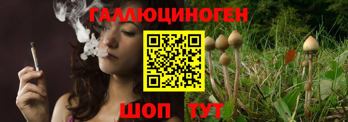 Дзержинский  Галлюциногенные грибы Psilocybe  Вход с VPN 